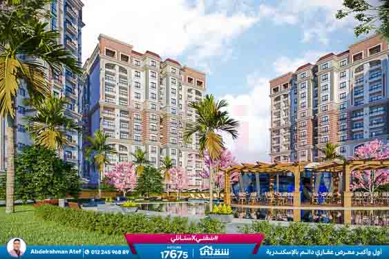 WhatsApp Image 2026-01-18 at 11.59.12 AM