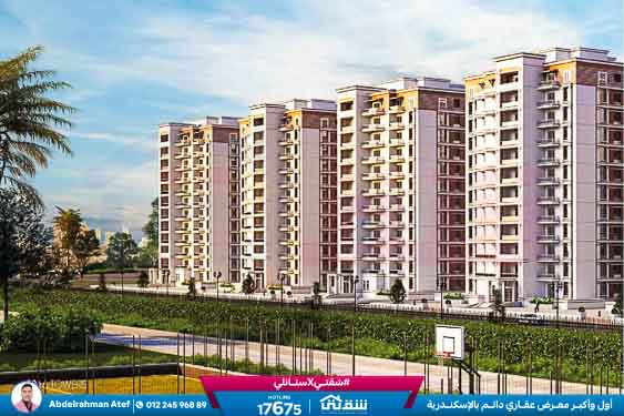 WhatsApp Image 2026-01-18 at 12.44.49 PM