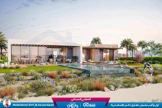 WhatsApp Image 2026-01-18 at 2.52.54 PM (1)