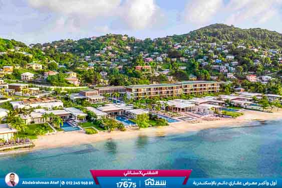 WhatsApp Image 2026-01-18 at 2.52.56 PM