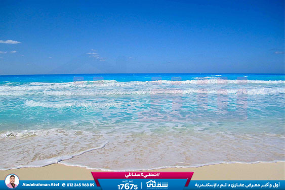 WhatsApp Image 2026-01-18 at 4.12.56 PM