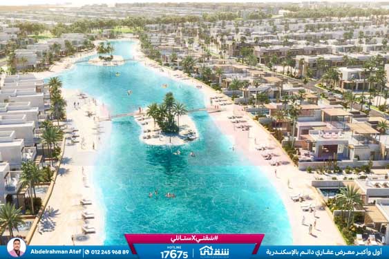 WhatsApp Image 2026-01-18 at 4.12.59 PM (2)