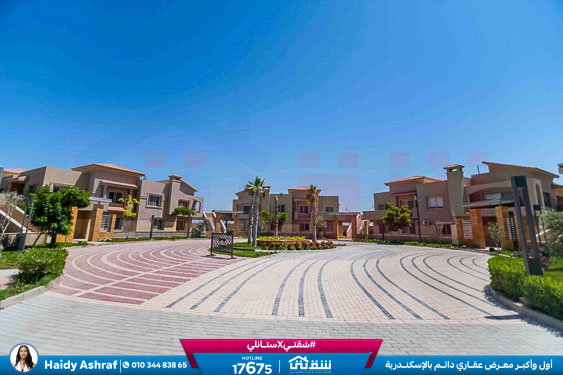 WhatsApp Image 2026-01-19 at 11.54.55 AM (1)