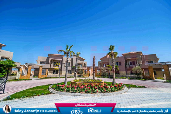 WhatsApp Image 2026-01-19 at 11.54.56 AM (1)