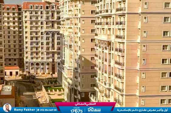 WhatsApp Image 2026-01-19 at 4.35.06 PM (1)