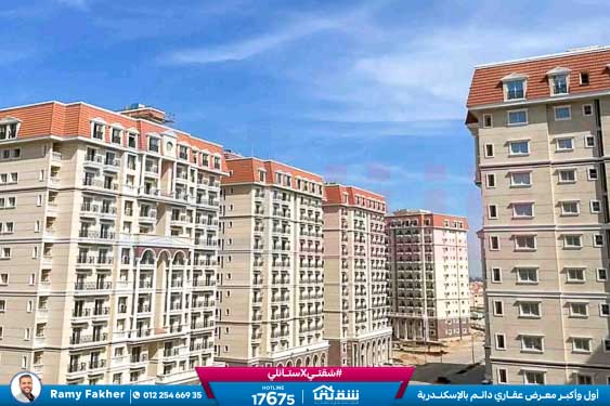 WhatsApp Image 2026-01-19 at 4.35.06 PM (2)