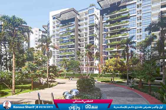 WhatsApp Image 2026-01-20 at 1.58.24 PM