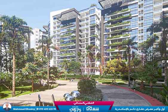 WhatsApp Image 2026-01-20 at 1.58.24 PM