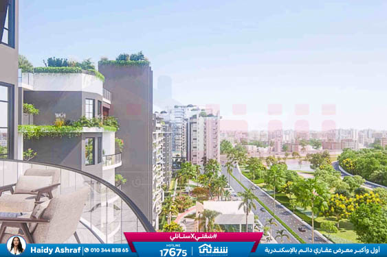 WhatsApp Image 2026-01-20 at 1.58.26 PM (1)