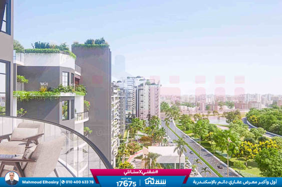 WhatsApp Image 2026-01-20 at 1.58.26 PM (1)