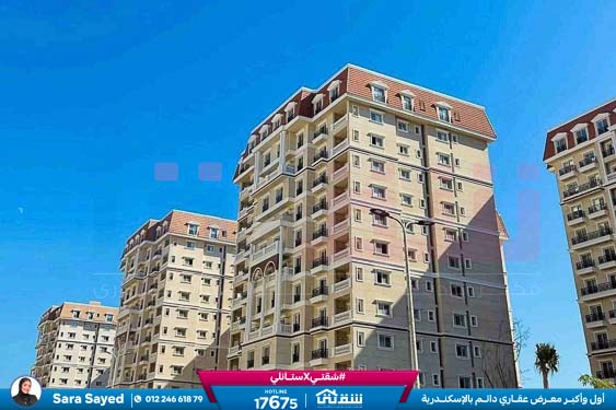 WhatsApp Image 2026-01-21 at 10.41.53 AM (1)