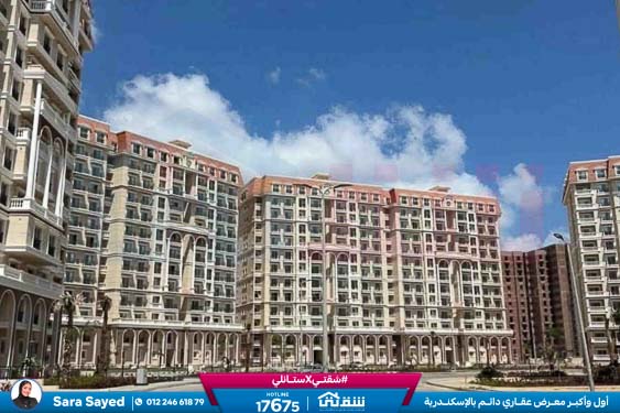 WhatsApp Image 2026-01-21 at 10.41.54 AM (1)