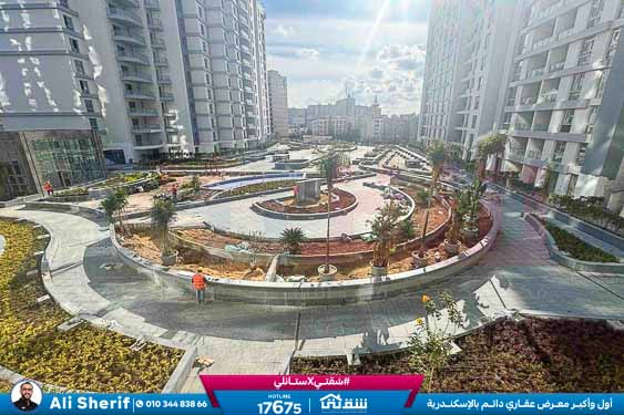 WhatsApp Image 2026-01-21 at 4.19.32 PM (1)