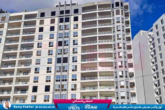 WhatsApp Image 2026-01-21 at 4.19.32 PM (2)