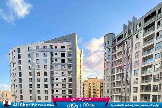 WhatsApp Image 2026-01-21 at 4.19.34 PM