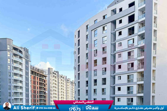 WhatsApp Image 2026-01-21 at 4.19.35 PM