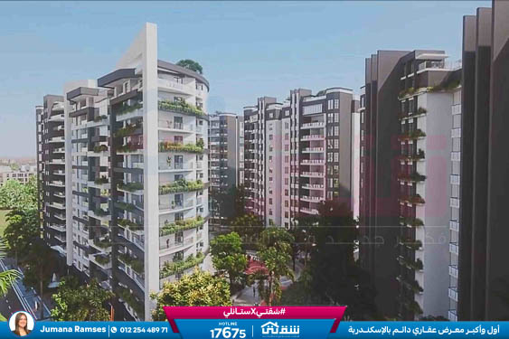 WhatsApp Image 2026-01-22 at 4.18.32 PM (1)