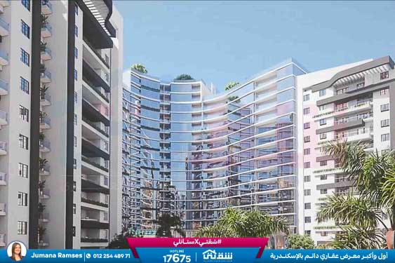 WhatsApp Image 2026-01-22 at 4.18.32 PM (2)