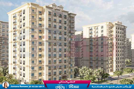 WhatsApp Image 2026-01-24 at 4.44.04 PM (3)