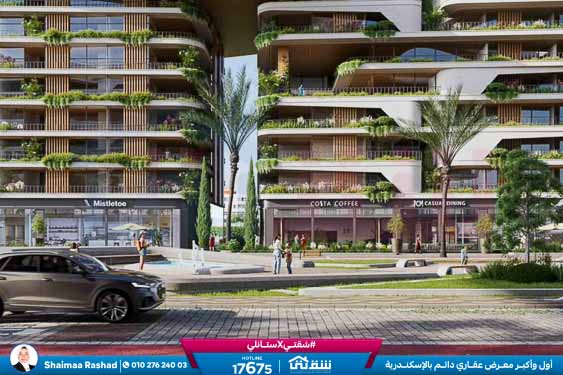 WhatsApp Image 2026-01-25 at 11.40.37 AM