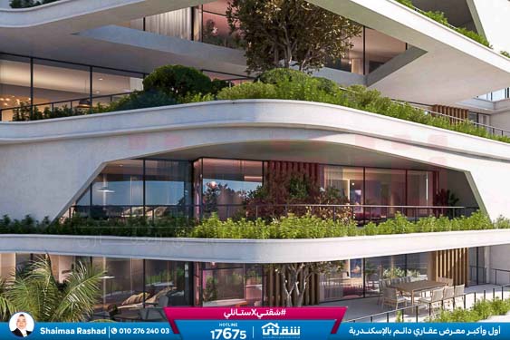 WhatsApp Image 2026-01-26 at 4.58.57 PM (1)