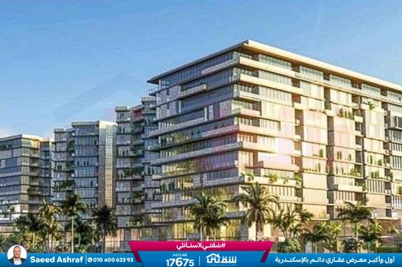 457143261_936641858497717_4190734054235641365_n