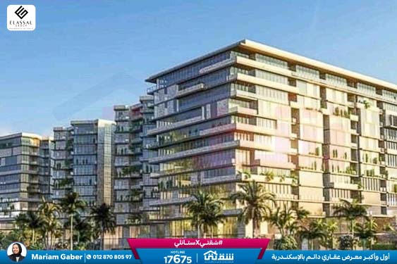 457143261_936641858497717_4190734054235641365_n