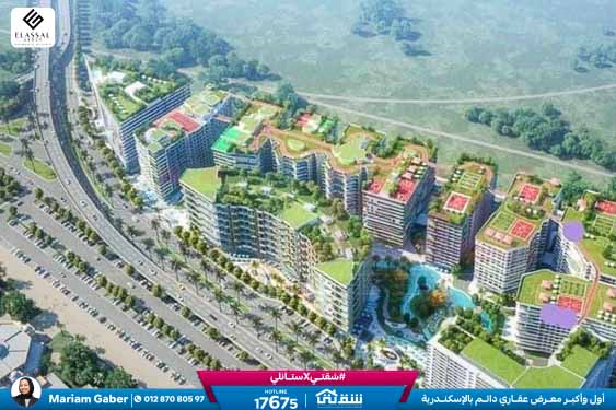 457193118_936641965164373_7697053552713594473_n