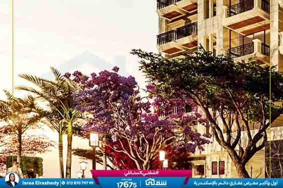 Boulevard online_65 (2)-65