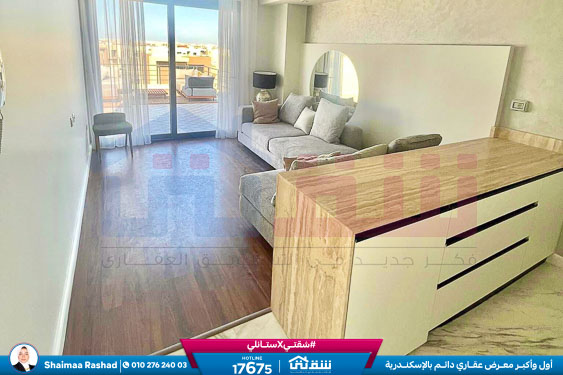 WhatsApp Image 2023-12-01 at 3.36.45 PM (1)