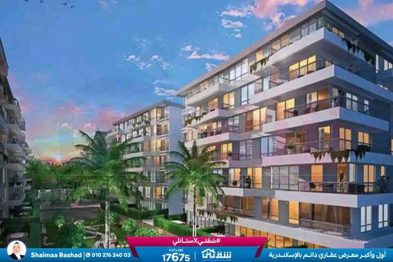 WhatsApp Image 2024-08-28 at 4.29.03 PM