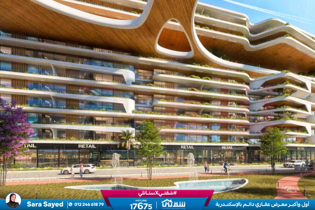 WhatsApp Image 2024-11-20 at 8.29.35 PM