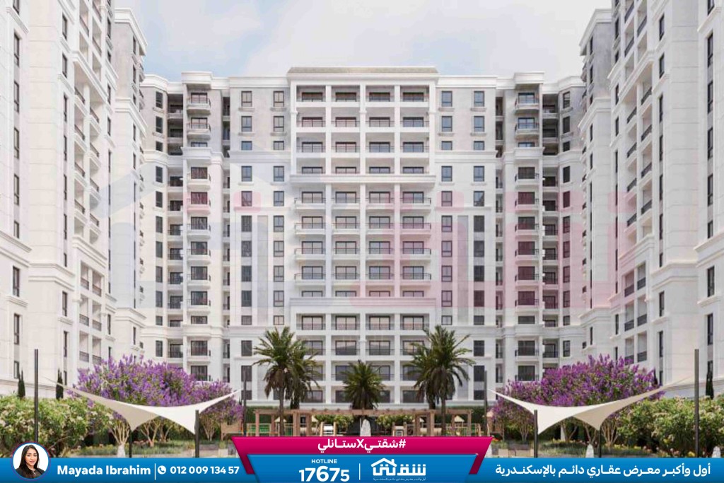 WhatsApp Image 2024-12-03 at 16.49.31_b4732c82