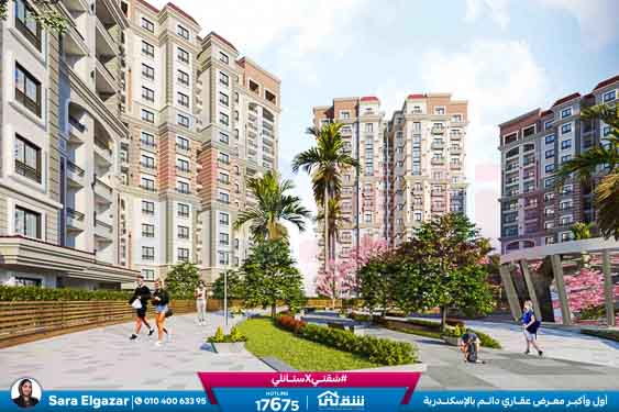 WhatsApp Image 2024-12-05 at 10.03.27 AM (1)