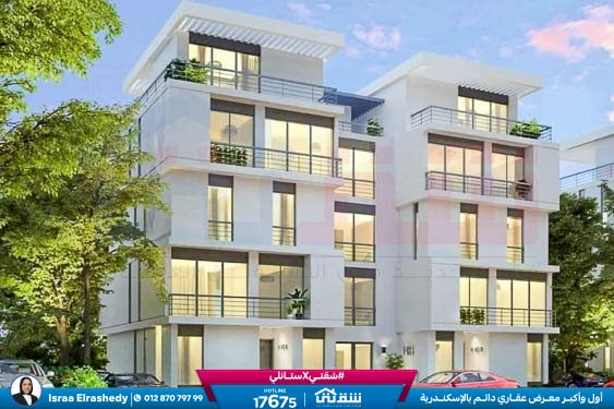 WhatsApp Image 2024-12-06 at 3.41.31 AM (1)