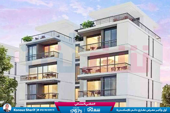 WhatsApp Image 2024-12-06 at 3.41.31 AM