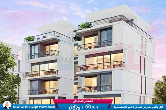 WhatsApp Image 2024-12-06 at 3.41.31 AM