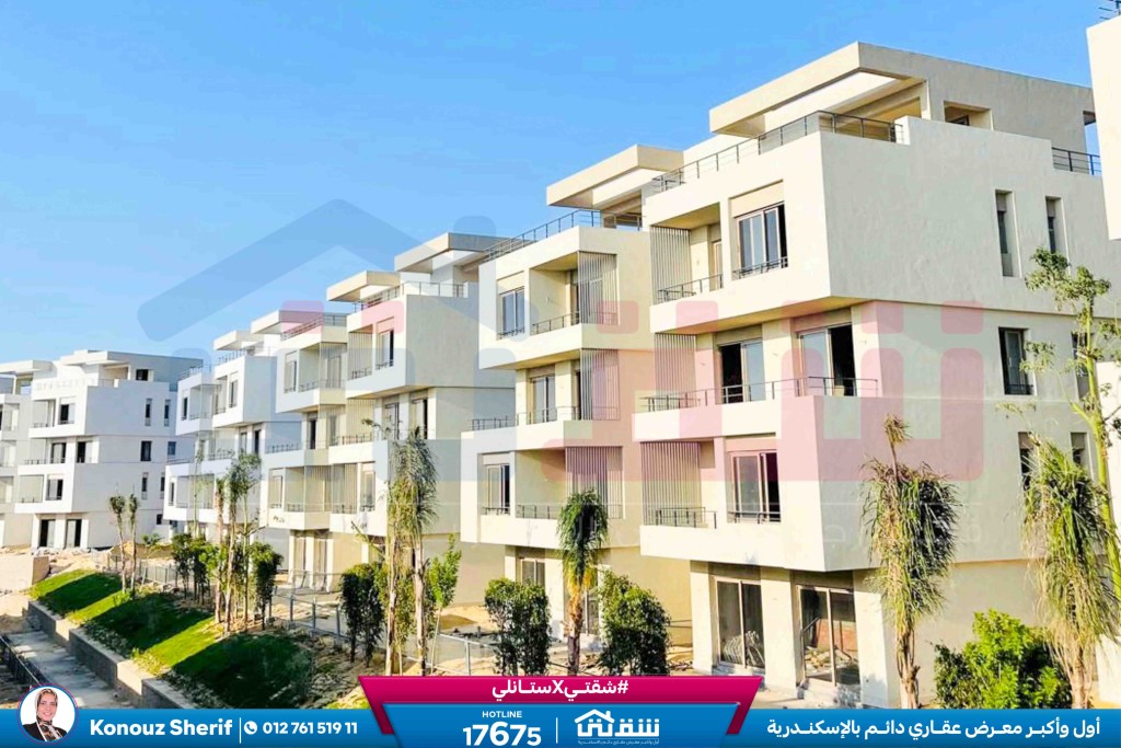 WhatsApp Image 2024-12-06 at 3.47.21 AM (1)