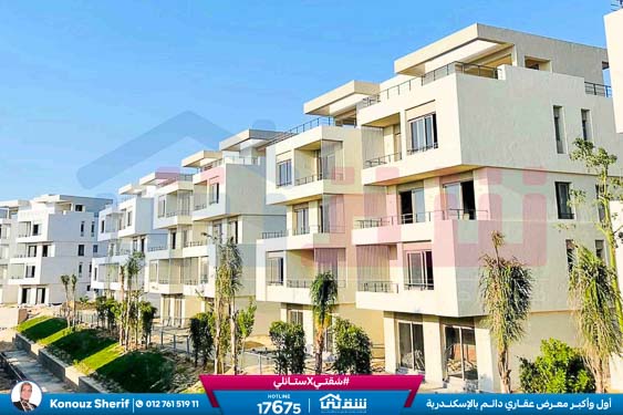 WhatsApp Image 2024-12-06 at 3.47.21 AM (1)