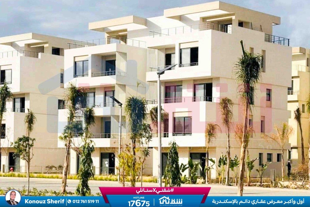 WhatsApp Image 2024-12-06 at 3.47.21 AM