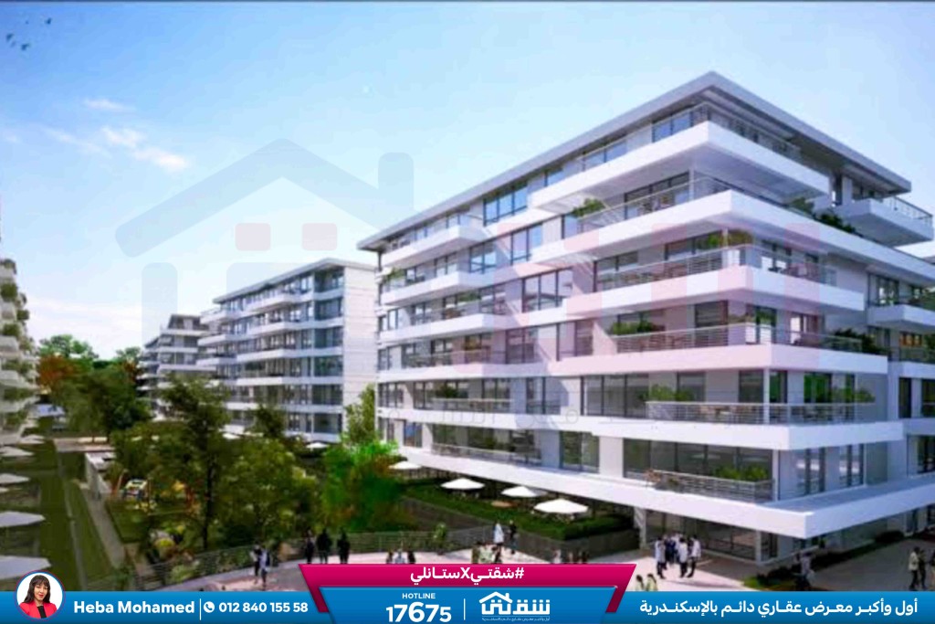 WhatsApp Image 2025-01-13 at 11.58.46_260f0fda