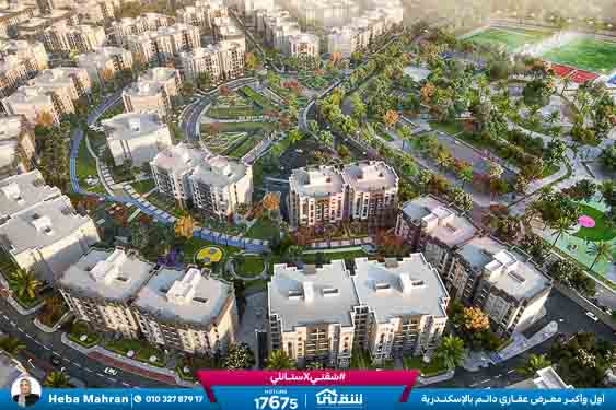 WhatsApp Image 2025-03-22 at 12.53.28 PM