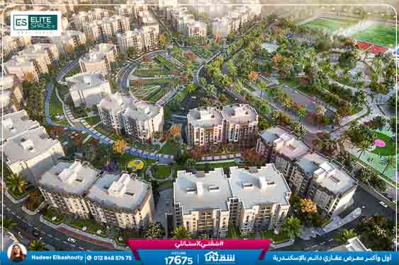 WhatsApp Image 2025-03-22 at 12.53.28 PM