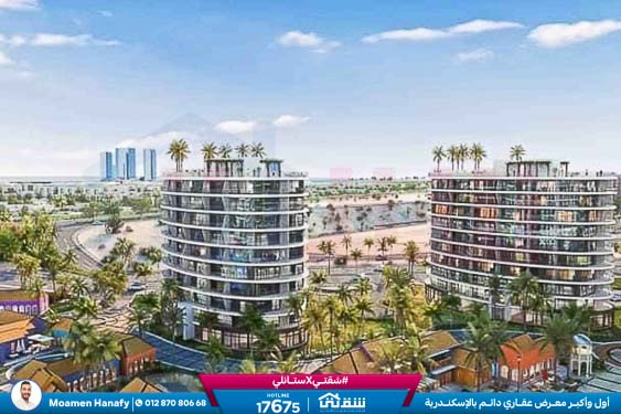 WhatsApp Image 2025-05-06 at 12.31.19 PM (2)