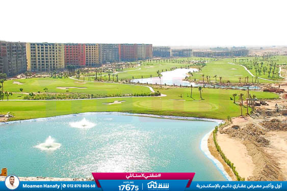 WhatsApp Image 2025-05-06 at 12.31.20 PM (1)