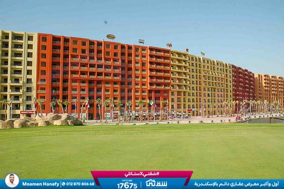 WhatsApp Image 2025-05-06 at 12.31.21 PM