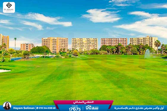 WhatsApp Image 2025-05-06 at 12.31.24 PM (1)