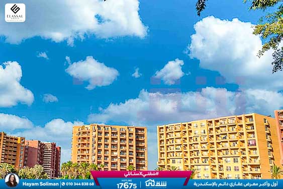 WhatsApp Image 2025-05-06 at 12.31.24 PM