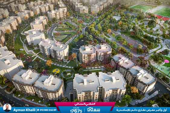 WhatsApp Image 2025-06-29 at 12.48.42 AM (1)