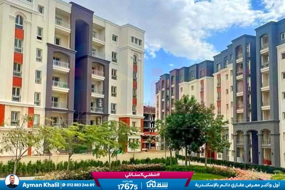 WhatsApp Image 2025-06-29 at 12.48.42 AM